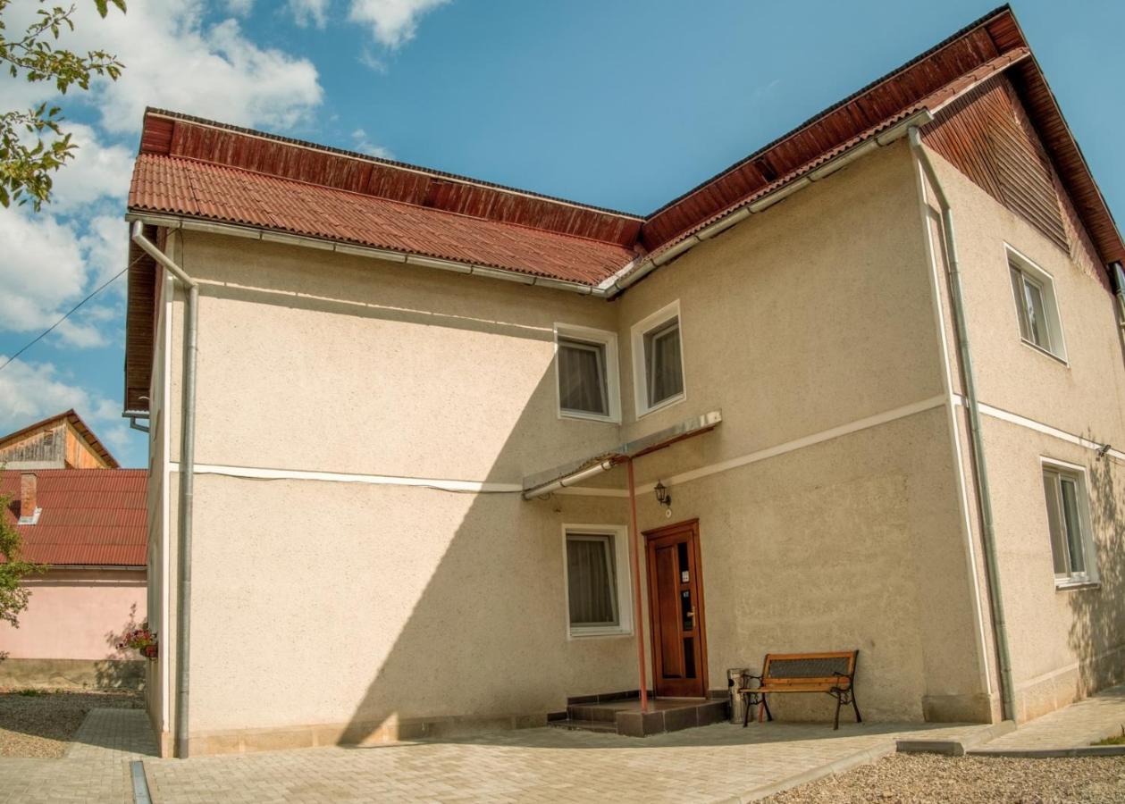 Pensiunea Selena Vişeu de Sus Zewnętrze zdjęcie