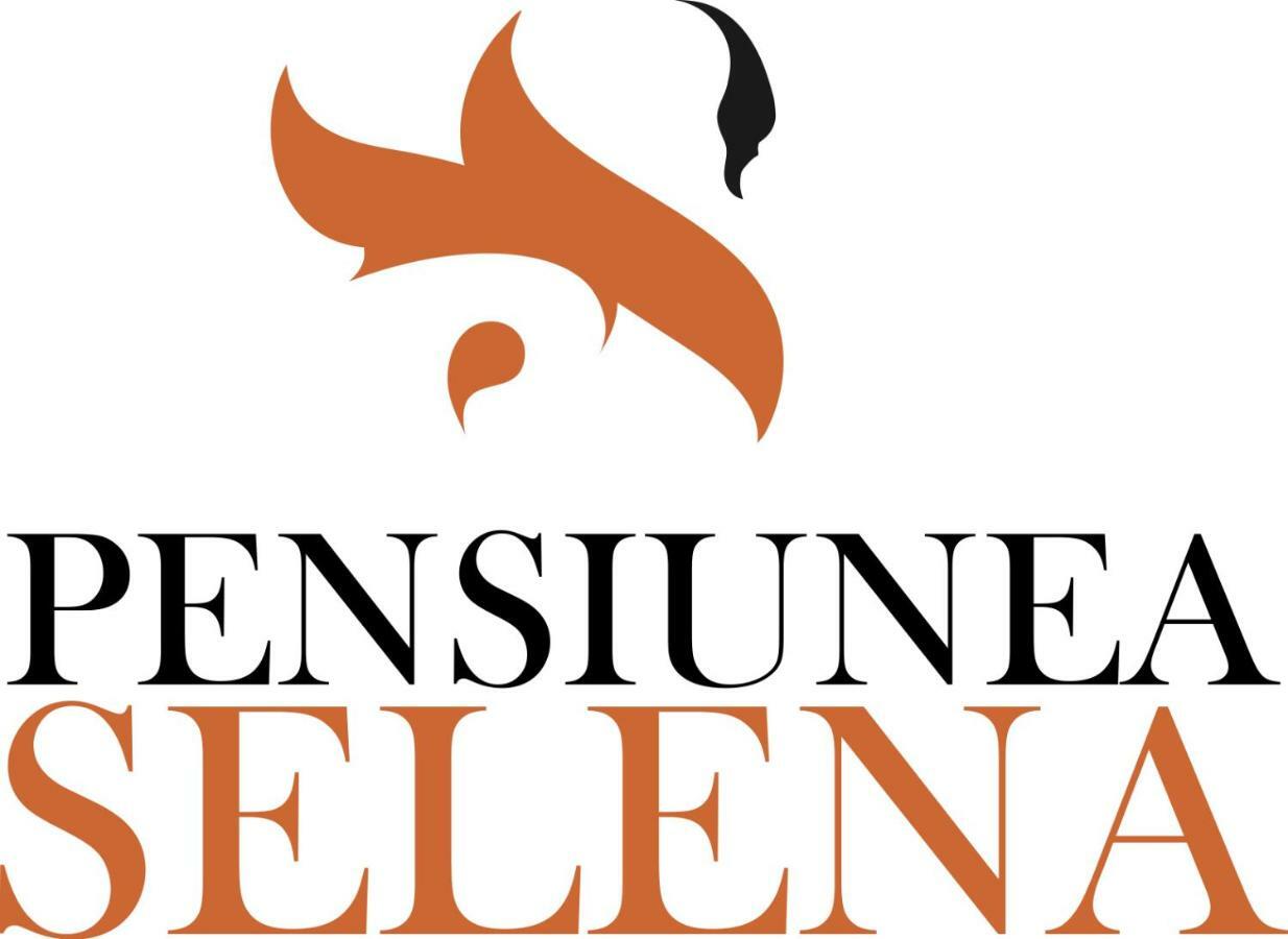 Pensiunea Selena Vişeu de Sus Zewnętrze zdjęcie